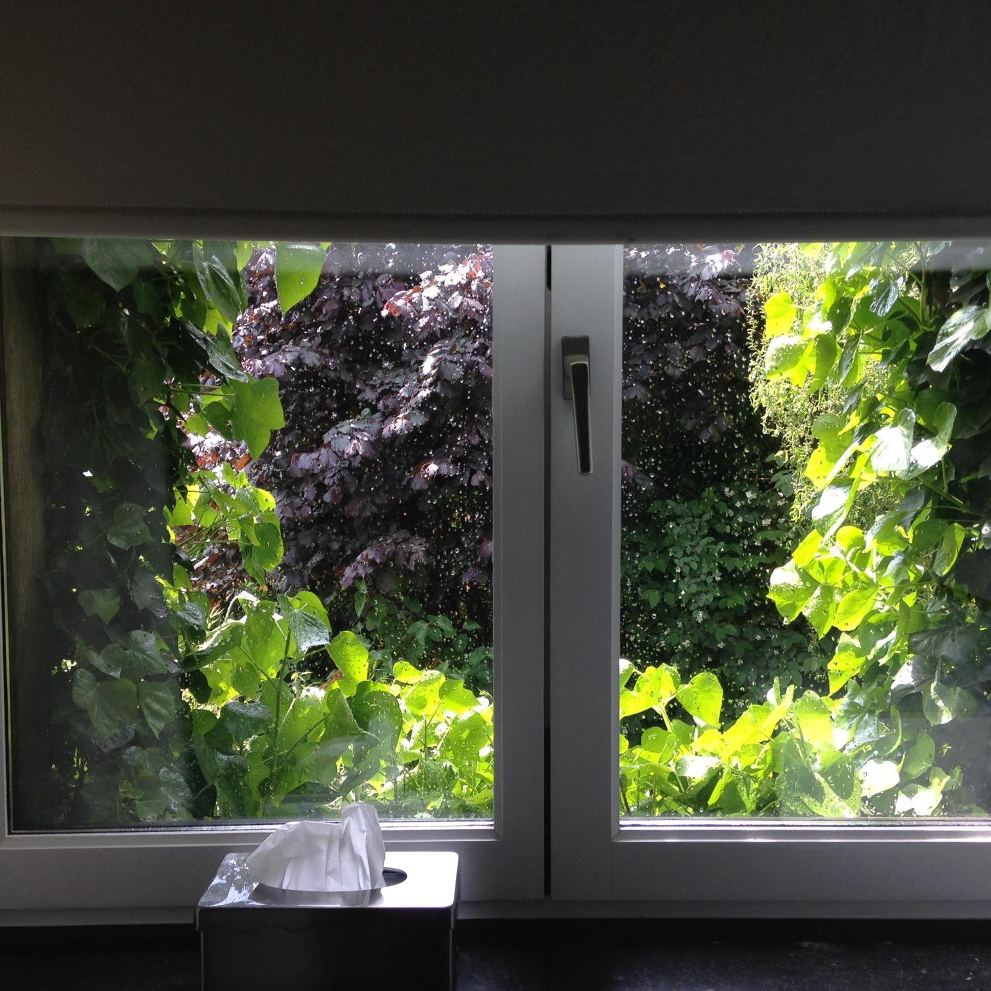 B&B Matin Tranquille Льеж Экстерьер фото